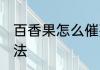 百香果怎么催熟不裂 百香果的催熟方法
