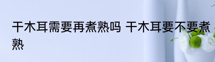 干木耳需要再煮熟吗 干木耳要不要煮熟