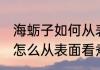 海蛎子如何从表面看煮好了没 海蛎子怎么从表面看煮好了没