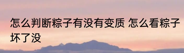 怎么判断粽子有没有变质 怎么看粽子坏了没