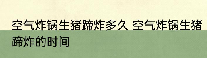 空气炸锅生猪蹄炸多久 空气炸锅生猪蹄炸的时间