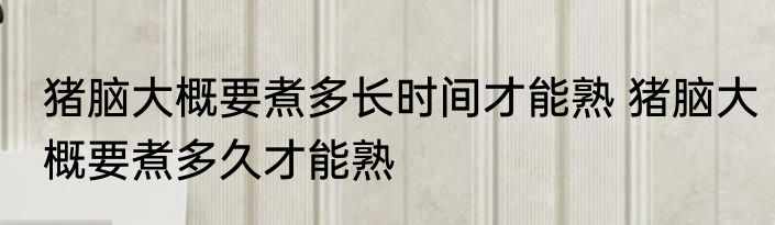猪脑大概要煮多长时间才能熟 猪脑大概要煮多久才能熟