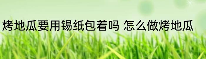 烤地瓜要用锡纸包着吗 怎么做烤地瓜