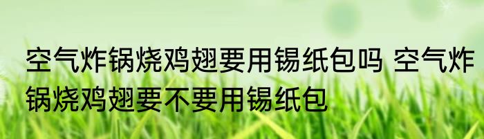 空气炸锅烧鸡翅要用锡纸包吗 空气炸锅烧鸡翅要不要用锡纸包