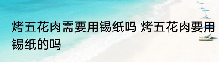 烤五花肉需要用锡纸吗 烤五花肉要用锡纸的吗