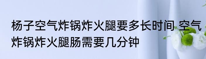 杨子空气炸锅炸火腿要多长时间 空气炸锅炸火腿肠需要几分钟