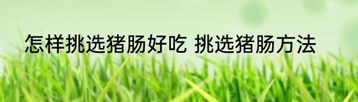 怎样挑选猪肠好吃 挑选猪肠方法