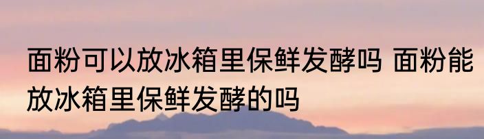面粉可以放冰箱里保鲜发酵吗 面粉能放冰箱里保鲜发酵的吗