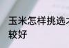 玉米怎样挑选才好吃 如何挑选玉米比较好