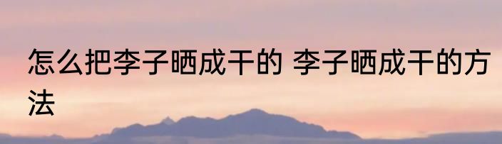 怎么把李子晒成干的 李子晒成干的方法