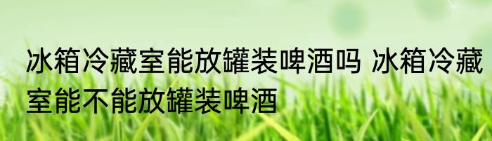 冰箱冷藏室能放罐装啤酒吗 冰箱冷藏室能不能放罐装啤酒