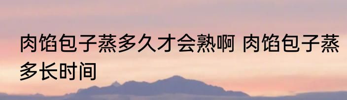 肉馅包子蒸多久才会熟啊 肉馅包子蒸多长时间