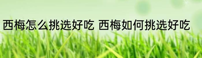 西梅怎么挑选好吃 西梅如何挑选好吃