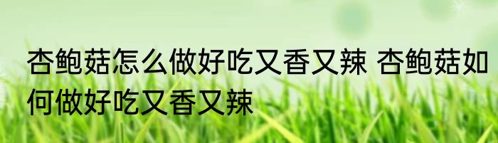 杏鲍菇怎么做好吃又香又辣 杏鲍菇如何做好吃又香又辣