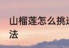 山榴莲怎么挑选好吃 山榴莲的选择方法