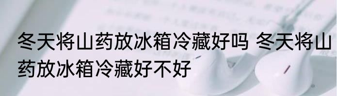 冬天将山药放冰箱冷藏好吗 冬天将山药放冰箱冷藏好不好