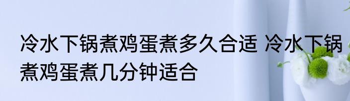 冷水下锅煮鸡蛋煮多久合适 冷水下锅煮鸡蛋煮几分钟适合