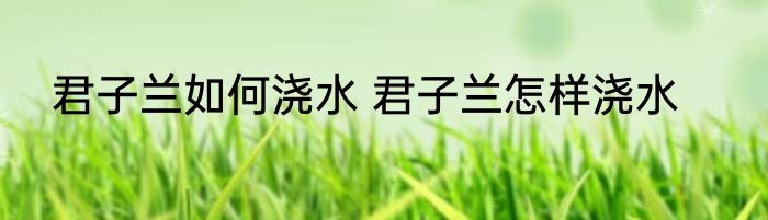 君子兰如何浇水 君子兰怎样浇水