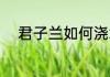君子兰如何浇水 君子兰怎样浇水