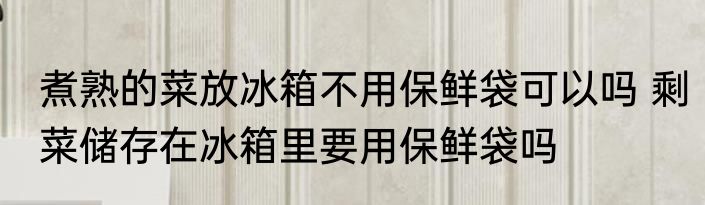 煮熟的菜放冰箱不用保鲜袋可以吗 剩菜储存在冰箱里要用保鲜袋吗