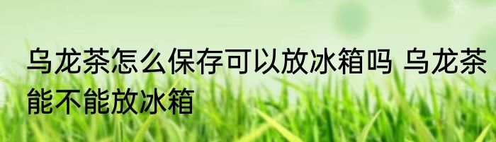 乌龙茶怎么保存可以放冰箱吗 乌龙茶能不能放冰箱
