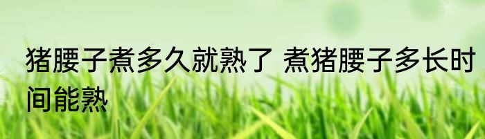 猪腰子煮多久就熟了 煮猪腰子多长时间能熟