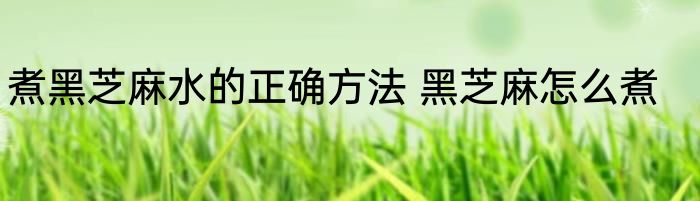 煮黑芝麻水的正确方法 黑芝麻怎么煮