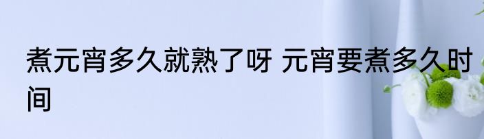 煮元宵多久就熟了呀 元宵要煮多久时间