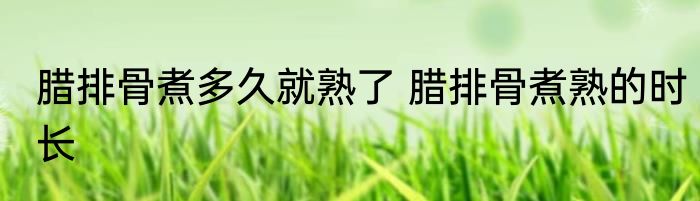 腊排骨煮多久就熟了 腊排骨煮熟的时长