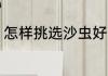 怎样挑选沙虫好吃 如何挑选沙虫好吃