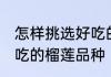 怎样挑选好吃的榴莲品种 如何挑选好吃的榴莲品种
