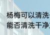 杨梅可以清洗干净放冰箱保鲜吗 杨梅能否清洗干净放冰箱保鲜