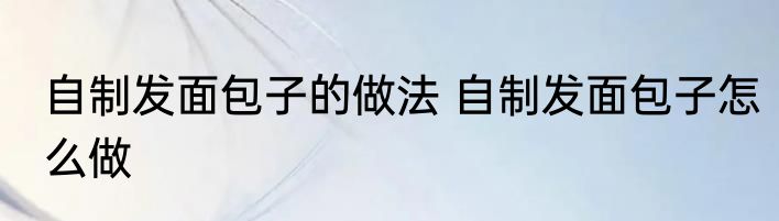 自制发面包子的做法 自制发面包子怎么做