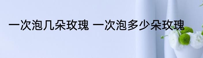 一次泡几朵玫瑰 一次泡多少朵玫瑰