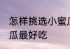 怎样挑选小蜜瓜最好吃 如何挑选小蜜瓜最好吃