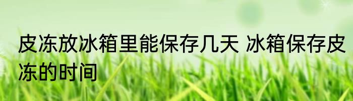 皮冻放冰箱里能保存几天 冰箱保存皮冻的时间