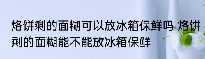 烙饼剩的面糊可以放冰箱保鲜吗 烙饼剩的面糊能不能放冰箱保鲜