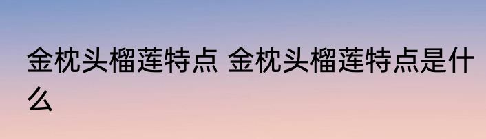 金枕头榴莲特点 金枕头榴莲特点是什么