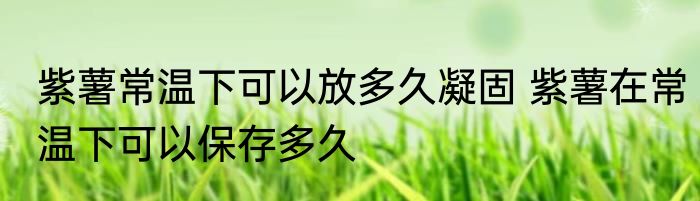 紫薯常温下可以放多久凝固 紫薯在常温下可以保存多久