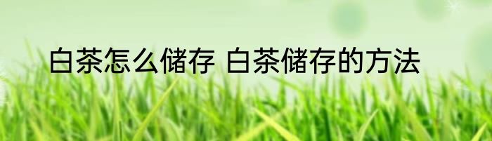 白茶怎么储存 白茶储存的方法