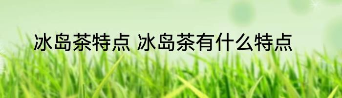 冰岛茶特点 冰岛茶有什么特点