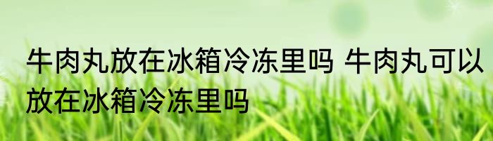牛肉丸放在冰箱冷冻里吗 牛肉丸可以放在冰箱冷冻里吗