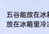 五谷能放在冰箱里冷冻吗 五谷能不能放在冰箱里冷冻