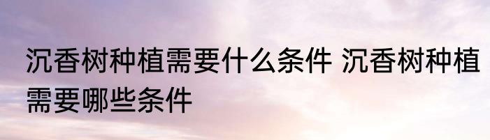 沉香树种植需要什么条件 沉香树种植需要哪些条件