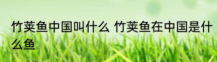 竹荚鱼中国叫什么 竹荚鱼在中国是什么鱼