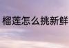 榴莲怎么挑新鲜的 榴莲如何挑新鲜的