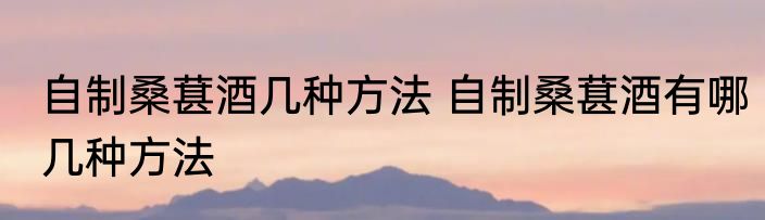 自制桑葚酒几种方法 自制桑葚酒有哪几种方法