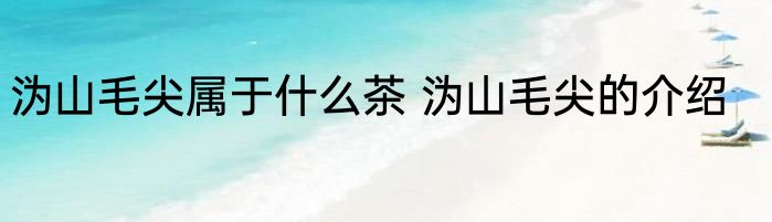 沩山毛尖属于什么茶 沩山毛尖的介绍
