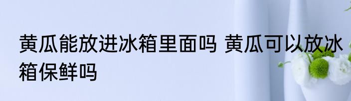 黄瓜能放进冰箱里面吗 黄瓜可以放冰箱保鲜吗