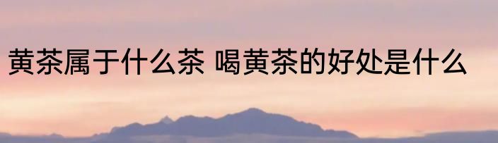 黄茶属于什么茶 喝黄茶的好处是什么